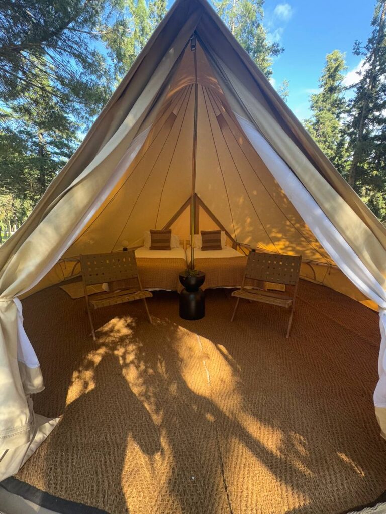 Glamping Tent | Одноместное размещение